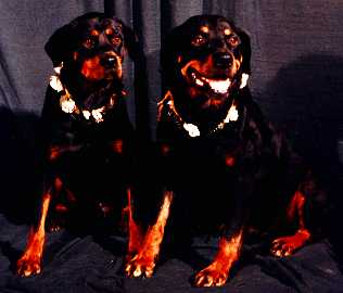 Kluge and Cassie